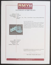 Load image into Gallery viewer, 46552977