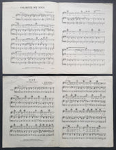 Load image into Gallery viewer, 43814276