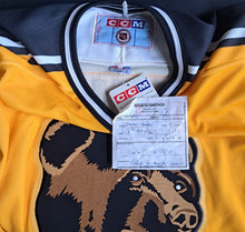 Load image into Gallery viewer, 1995-96 Dave Reid Pooh Bear Boston Bruins Alternate CCM Customized Jersey NHL
