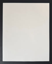 Load image into Gallery viewer, 47412062