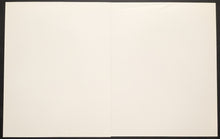 Load image into Gallery viewer, 47037422