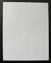 Load image into Gallery viewer, 46896299