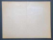 Load image into Gallery viewer, 44006099