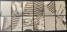 Load image into Gallery viewer, 47412124