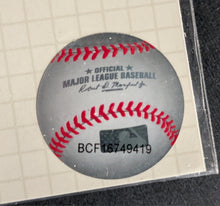 Load image into Gallery viewer, 46329727