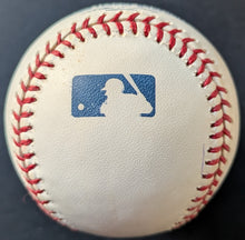 Load image into Gallery viewer, 47110699