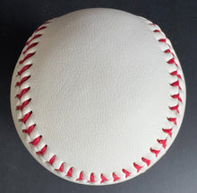 Load image into Gallery viewer, 43976582