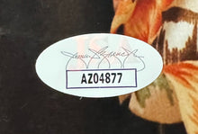 Load image into Gallery viewer, 43693355