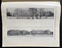 Load image into Gallery viewer, 44311009