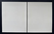 Load image into Gallery viewer, 44885705