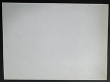 Load image into Gallery viewer, 43741079