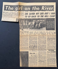 Load image into Gallery viewer, 43724579