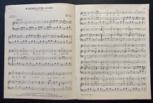 Load image into Gallery viewer, 43690078