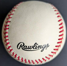 Load image into Gallery viewer, 44351542