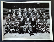 Load image into Gallery viewer, 43780186