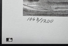 Load image into Gallery viewer, 44096586