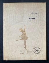 Load image into Gallery viewer, 46925810