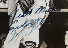 Load image into Gallery viewer, 44299529