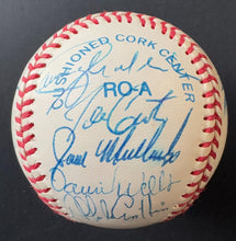 Load image into Gallery viewer, 43943710