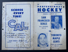 Load image into Gallery viewer, 43724951