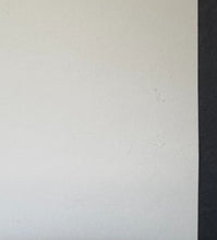 Load image into Gallery viewer, 45172685