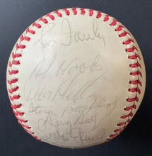 Load image into Gallery viewer, 43943719