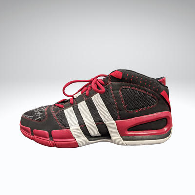 Joey Graham Autographed Signed Adidas Basketball Shoes Toronto