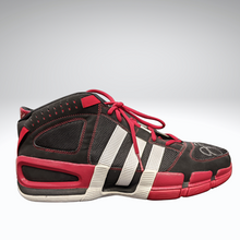 Load image into Gallery viewer, Joey Graham Autographed Signed Adidas Basketball Shoes Toronto Raptors Rookie 15
