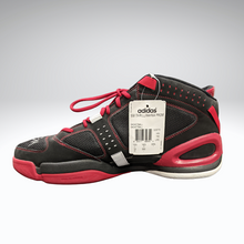 Load image into Gallery viewer, Joey Graham Autographed Signed Adidas Basketball Shoes Toronto Raptors Rookie 15