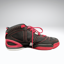 Load image into Gallery viewer, Joey Graham Autographed Signed Adidas Basketball Shoes Toronto Raptors Rookie 15