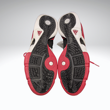 Load image into Gallery viewer, Joey Graham Autographed Signed Adidas Basketball Shoes Toronto Raptors Rookie 15