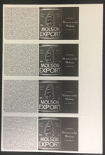 Load image into Gallery viewer, 1999 Stanley Cup Finals Ticket Set Air Canada Centre Toronto Maple Leafs Picture