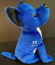 Load image into Gallery viewer, 1999 Vintage Toronto Maple Leafs Mats Sundin Planet Plush Ice Dog NOS! /60000