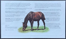 Load image into Gallery viewer, 1996 Day Of Issue Calgary Alberta Northern Dancer Race Horse Pictured