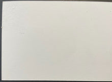 Load image into Gallery viewer, Christian Vazquez Boston Red Sox Game-Used Cardstock Locker Name Plate MLB Holo