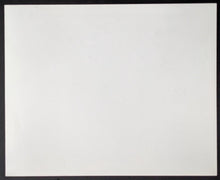 Load image into Gallery viewer, 1979 The Rose Movie 8x10 Lobby Card Promo Photo Bette Midler Vintage Rock