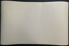 Load image into Gallery viewer, 500 Goal Scorer NHL Hockey Multi Signed Autographed Print x16 Ron Lewis Art JSA