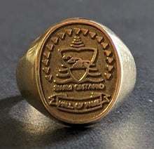 Load image into Gallery viewer, 1993 Ontario Aquatic Hall of Fame Cindy Nicholas 10 karat Gold Ring 4.47 AGW