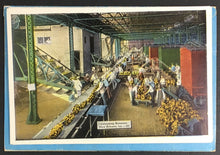 Load image into Gallery viewer, 1940s New Orleans Postcard Foldout 20 Different Cards City Park Stadiums ++