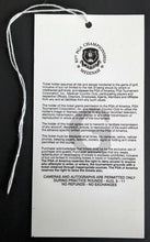 Load image into Gallery viewer, 1999 PGA Championship 6 Unused Grounds Passes @ Medinah Country Club Tiger Woods