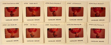 Load image into Gallery viewer, 1977 MLB Baseball American League 35mm Slides (10) Cleveland Indians Eckersley