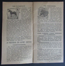 Load image into Gallery viewer, 1900s Promotional Agricultural Booklet Issued By International Stock Food Co.