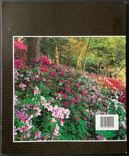 Load image into Gallery viewer, 2006 Masters Golf Tournament Program Phil Mickelson Wns 2nd Masters Vintage