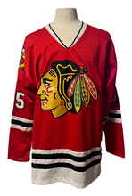 Load image into Gallery viewer, Tony Esposito Signed Chicago Blackhawks NHL Hockey Display Jersey Autograph JSA