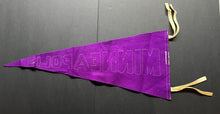Load image into Gallery viewer, Vintage Minneapolis Purple + White Felt Pennant 27" + Tassels