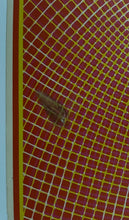 Load image into Gallery viewer, 1969 Family Dog Bill Graham Concert Poster The Charlatans Buddy Guy FD-83