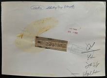 Load image into Gallery viewer, 1962 Vintage NHL Press Photo Chicago Blackhawks Montreal Canadiens Playoffs Hall