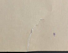 Load image into Gallery viewer, 1975 Blue Print Cus D'Amato Catskill Boxing Club New York Mike Tyson Vintage