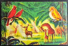 Load image into Gallery viewer, 1950s Wonders Of The Animal Kingdom Cards Set Of 400 With 1 Wrapper Vintage