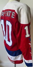 Load image into Gallery viewer, Bobby Carpenter #10 Washington Capitals Vintage NHL Hockey Jersey CCM